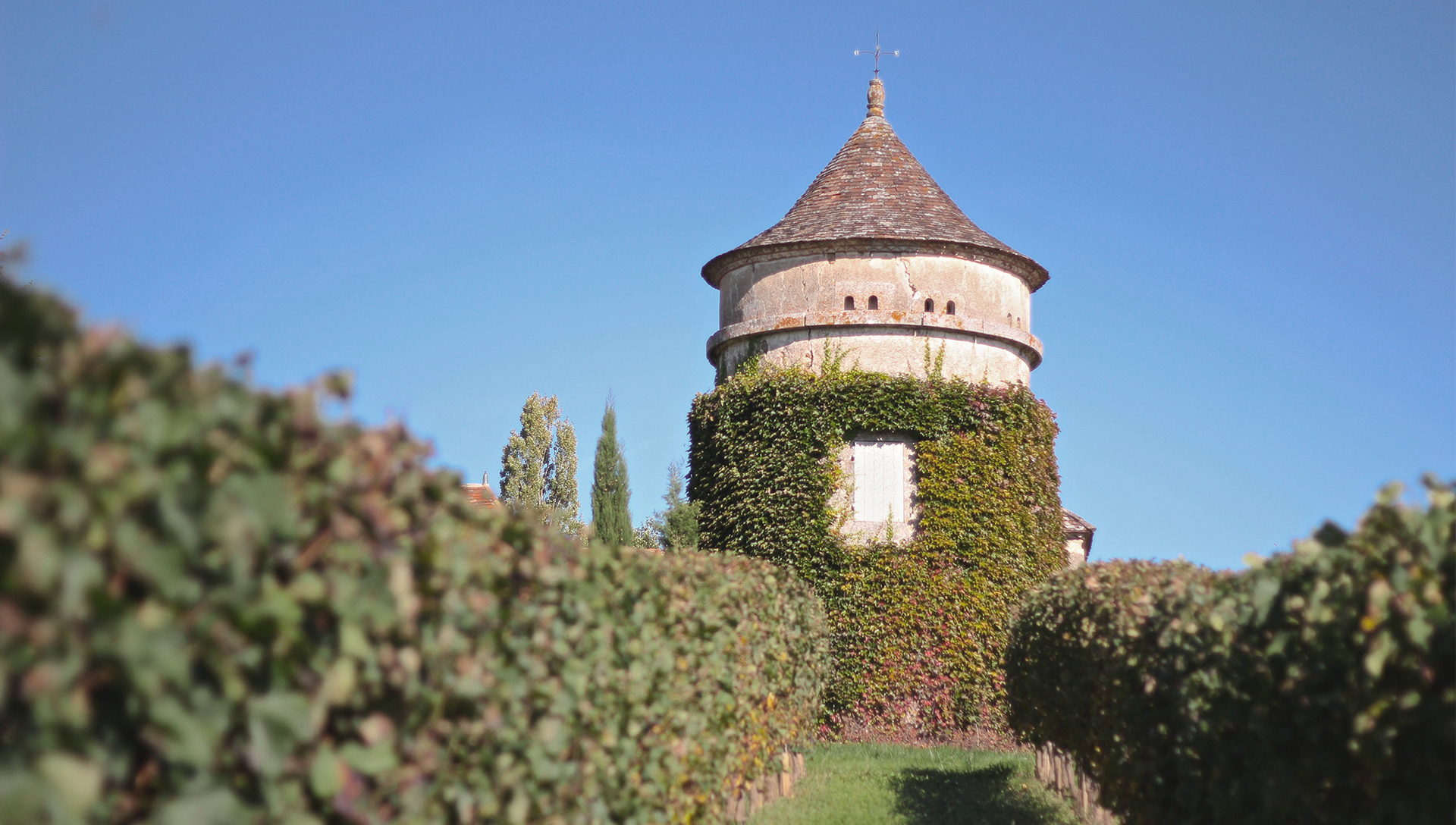 Pigeonnier saint sauveur pecharmant perigord terre vieille