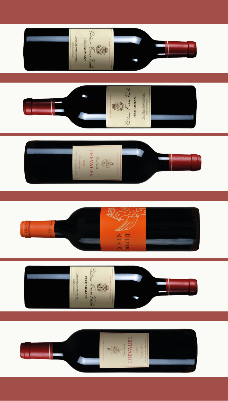 Carton découverte de 6 bouteilles du Château Terre Vieille, incluant toutes les cuvées : Château Terre Vieille, Chevalier et Divin, appellation Pécharmant et IGP Périgord.