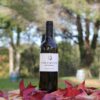 Bouteille de vin blanc bergerac sec posée sur des feuilles de chêne rouge d'Amérique et forêt en arrière plan