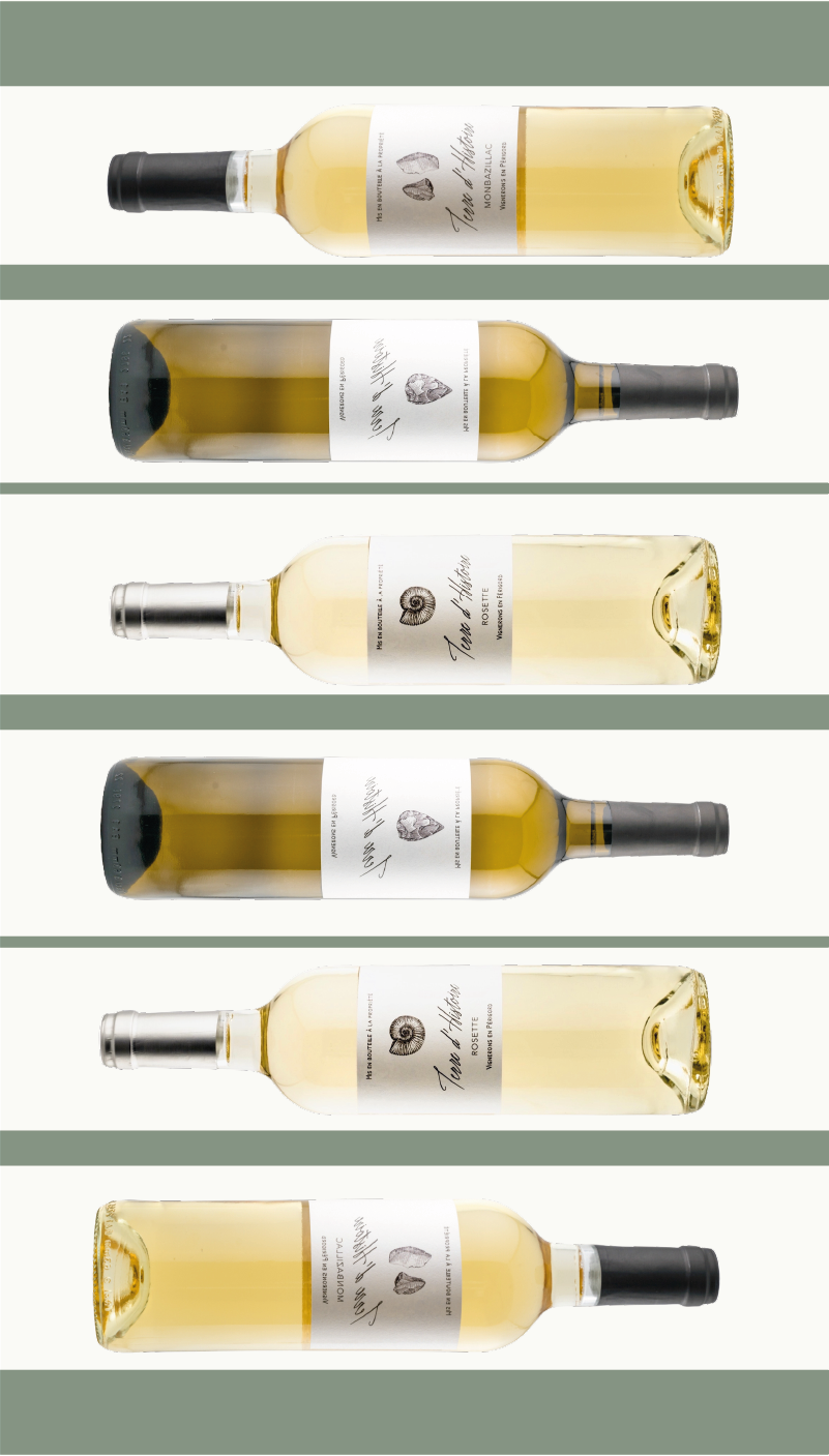 Sélection découverte de blancs