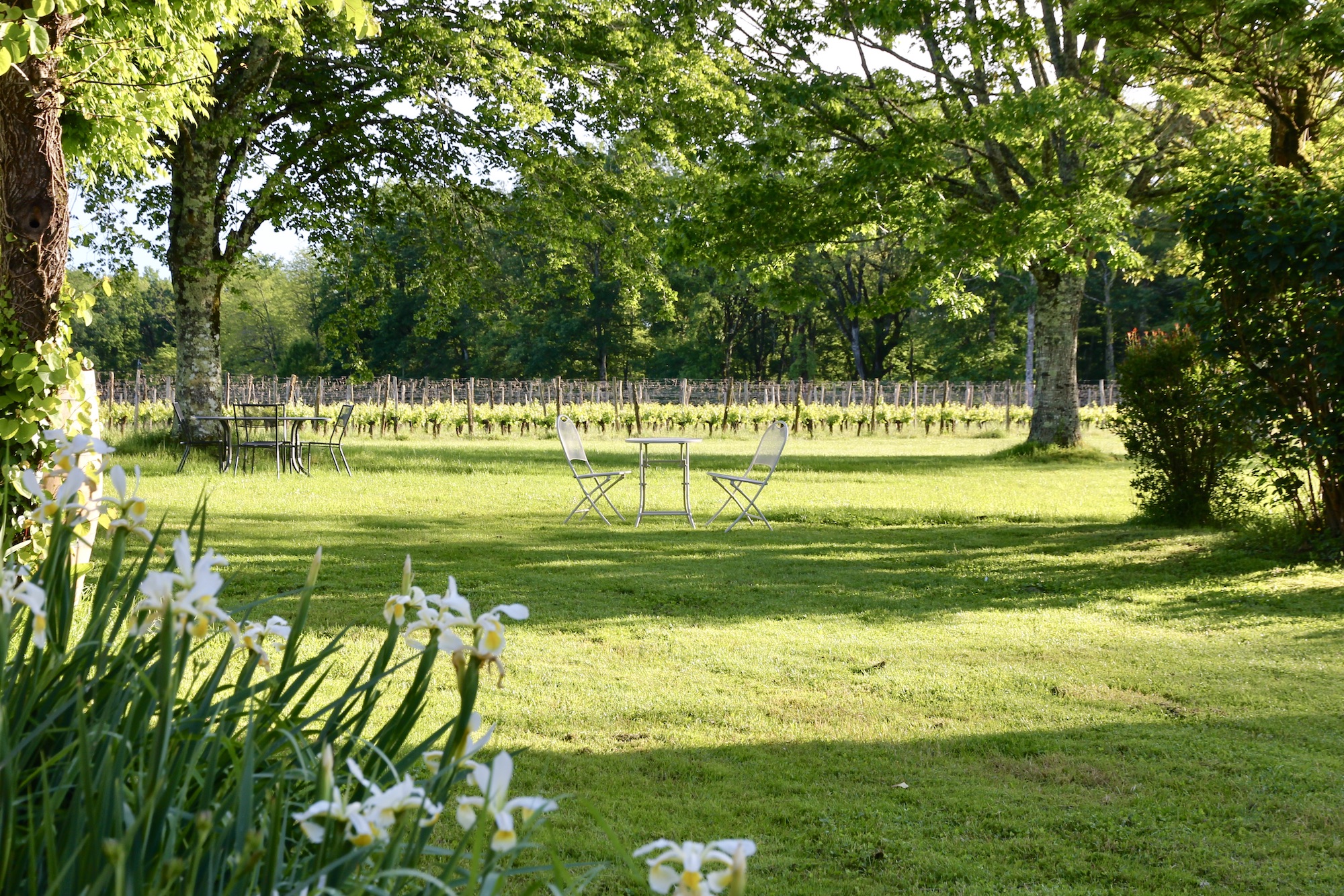Jardin luxuriant de Terre Vieille avec mobilier blanc et ombres délicates sur le gazon, créant une ambiance apaisante et naturelle.