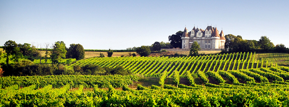 Vignoble de Monbazillac avec vue sur le château, à proximité du Château Terre Vieille, domaine viticole familial près de Bergerac