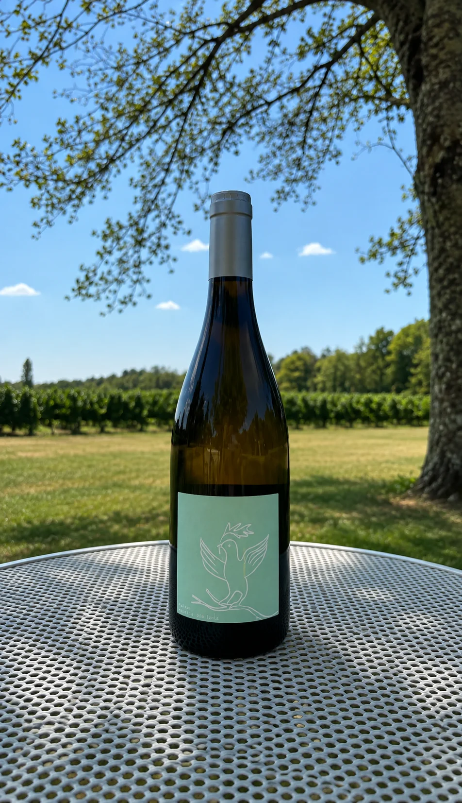 Bouteille de Chenin blanc à l’étiquette vert amande ornée d’un oiseau blanc, posée sur une table devant les vignes