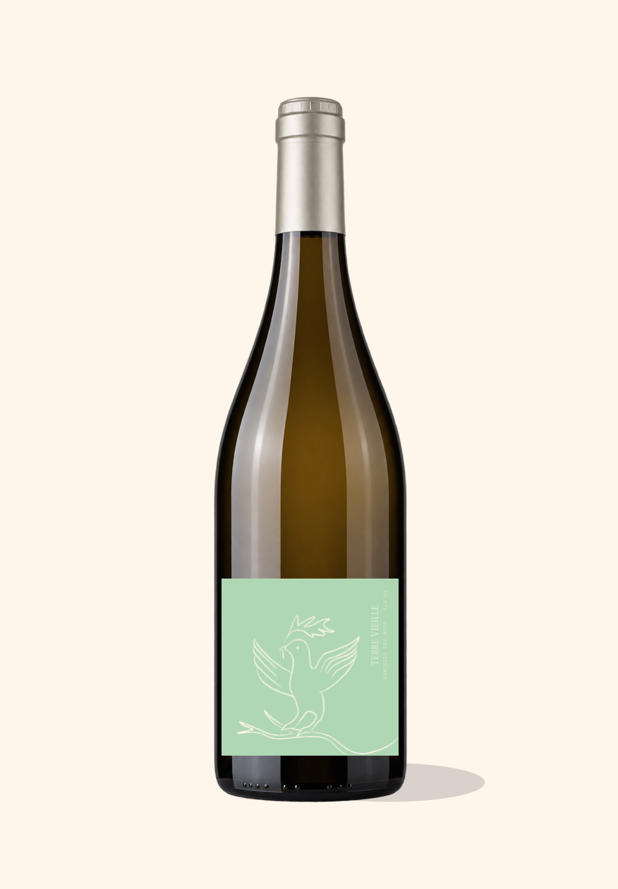 Chenin blanc sec - Amphore 6 mois